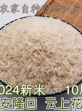 早安隆回大米2024农家自种大米5KG 一季晚稻大米 湖南富硒大米