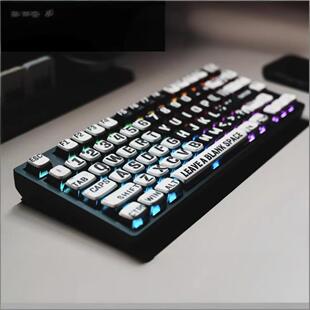 白言诳语键帽适合wooting60ev63魔导士ace68made68雨75rs6rs7夜魔