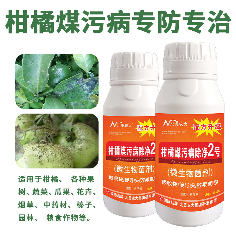 进口煤污病除净2号杀菌剂沙糖桔柑橘梨果树煤烟病专用药 北美农大