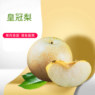 新梨河北皇冠梨薄皮水果脆甜多汁应季白梨子黄皮梨产地直发