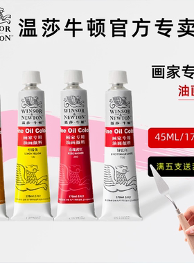 温莎牛顿画家专用油画颜料套装初学者儿童美术绘画单支管状工具快干白金色黑色钛白色颜料170ml45ml常用24色