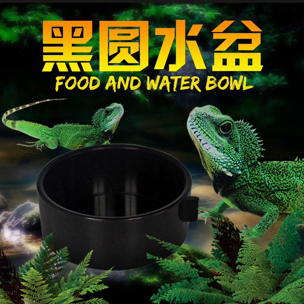 NOMOYPET诺摩爬宠蛇守宫蜥蜴角蛙甲虫昆虫爬虫饲养盒喂食水盆食盆,宠物/宠物食品及用品,爬宠清洁及日用品,淘宝优惠券,粉丝福利购,淘宝优惠卷