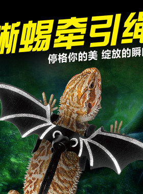 nomo诺摩蜥蜴牵引绳龙猫爬宠外出牵引带花枝鼠宠物变身胸背牵引绳