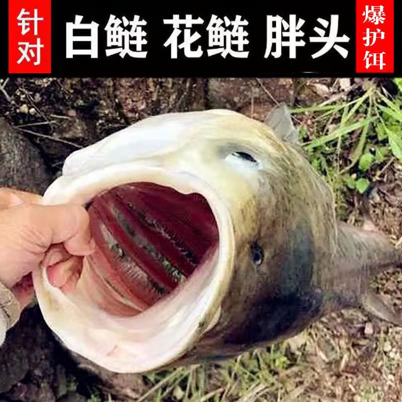 抛竿湿饵酸甜爆炸钩白鲢鱼