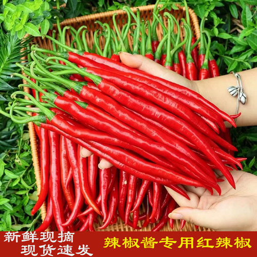 现摘红线椒新鲜5斤农家