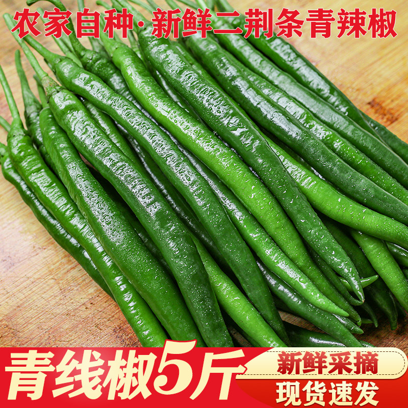 农家自种青辣椒 线椒新鲜蔬菜二荆条辣椒新鲜 中辣尖椒5斤长尖椒
