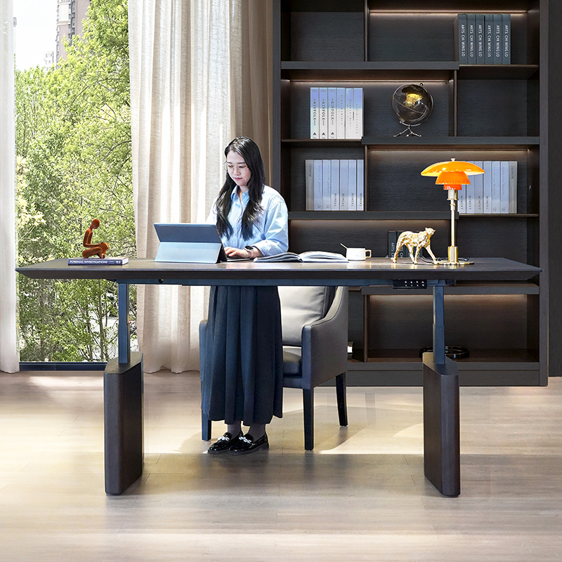 新款设计师款电动升降书桌