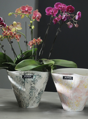 异形盆蝴蝶兰专用陶瓷花盆高级感轻奢艺术纹理家用办公室现代简约