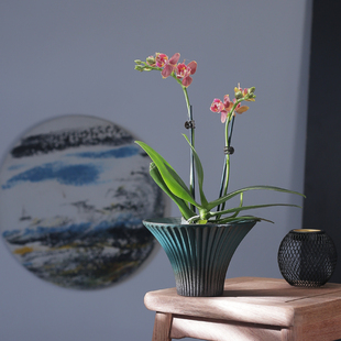 兰花蝴蝶兰专用套盆简约创意陶瓷花盆绿色圆形透气现代简约竖纹