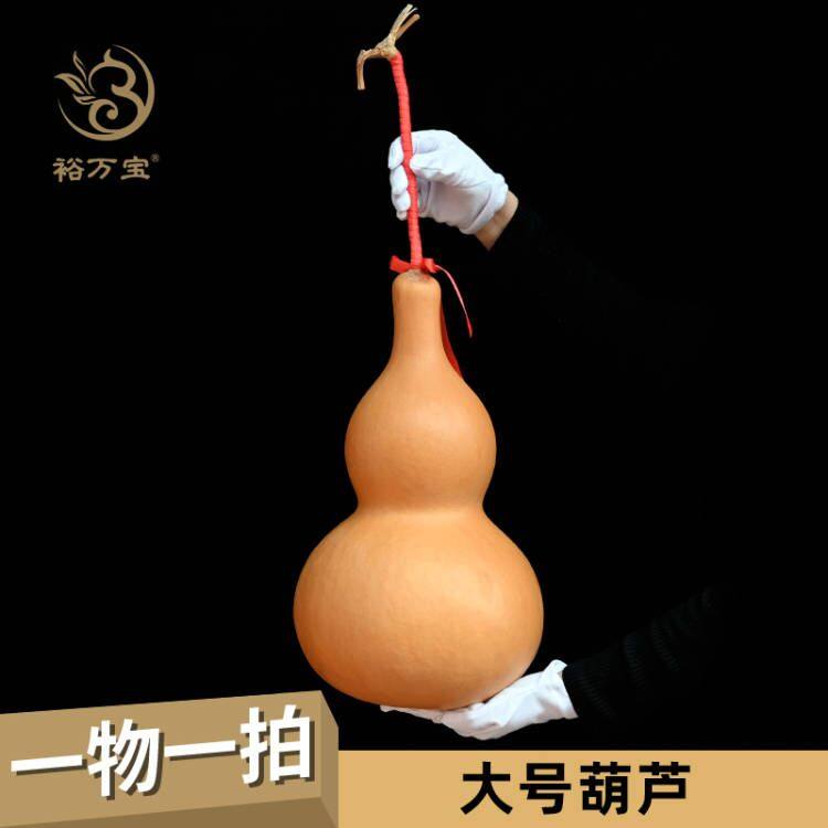 大葫芦一物一图看图选真葫芦办公室客厅收藏精品特大葫芦摆件实拍