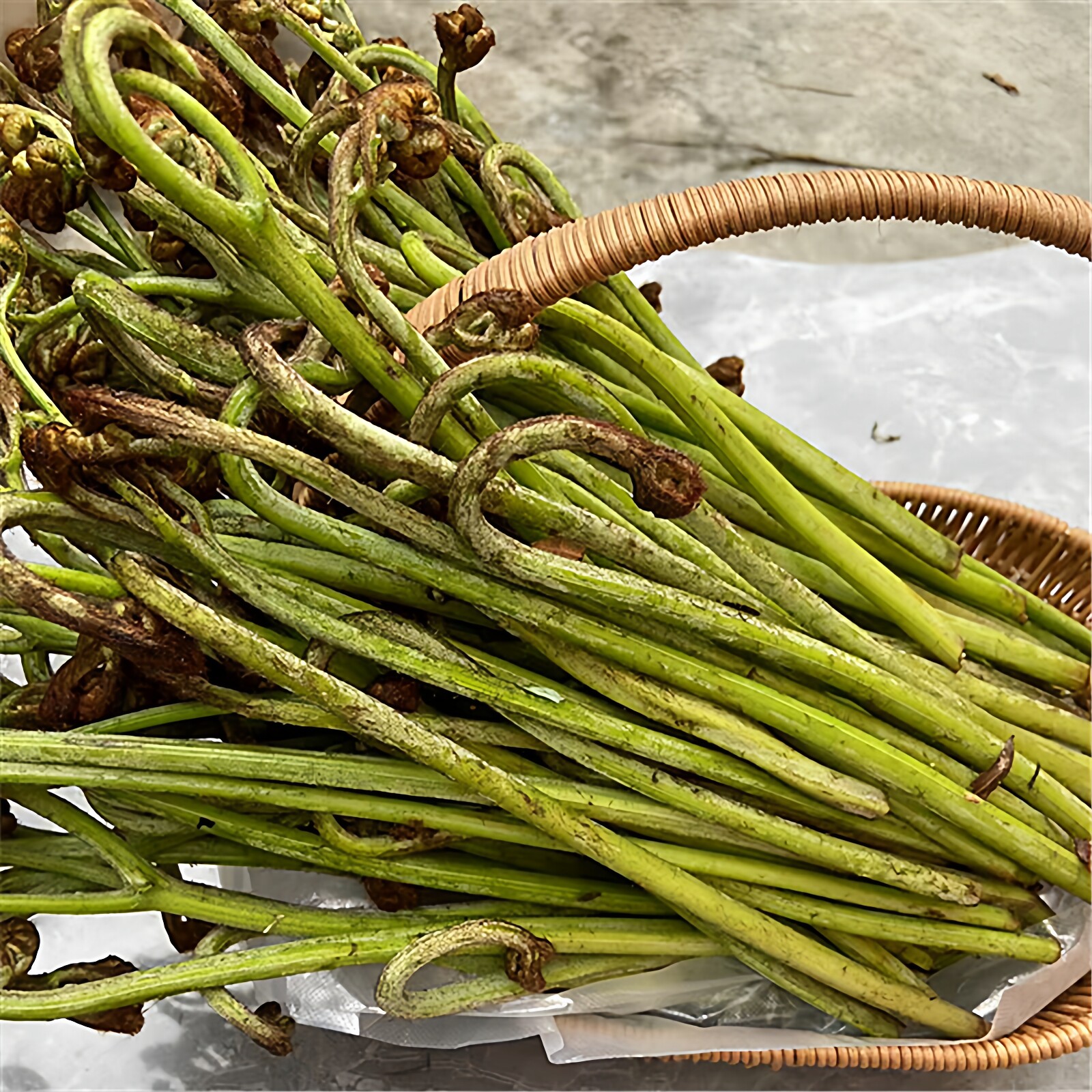 蕨菜新鲜野生贵州山撅甜蕨白蕨龙爪菜黔东南蕨菜苔天柱特产青蕨菜