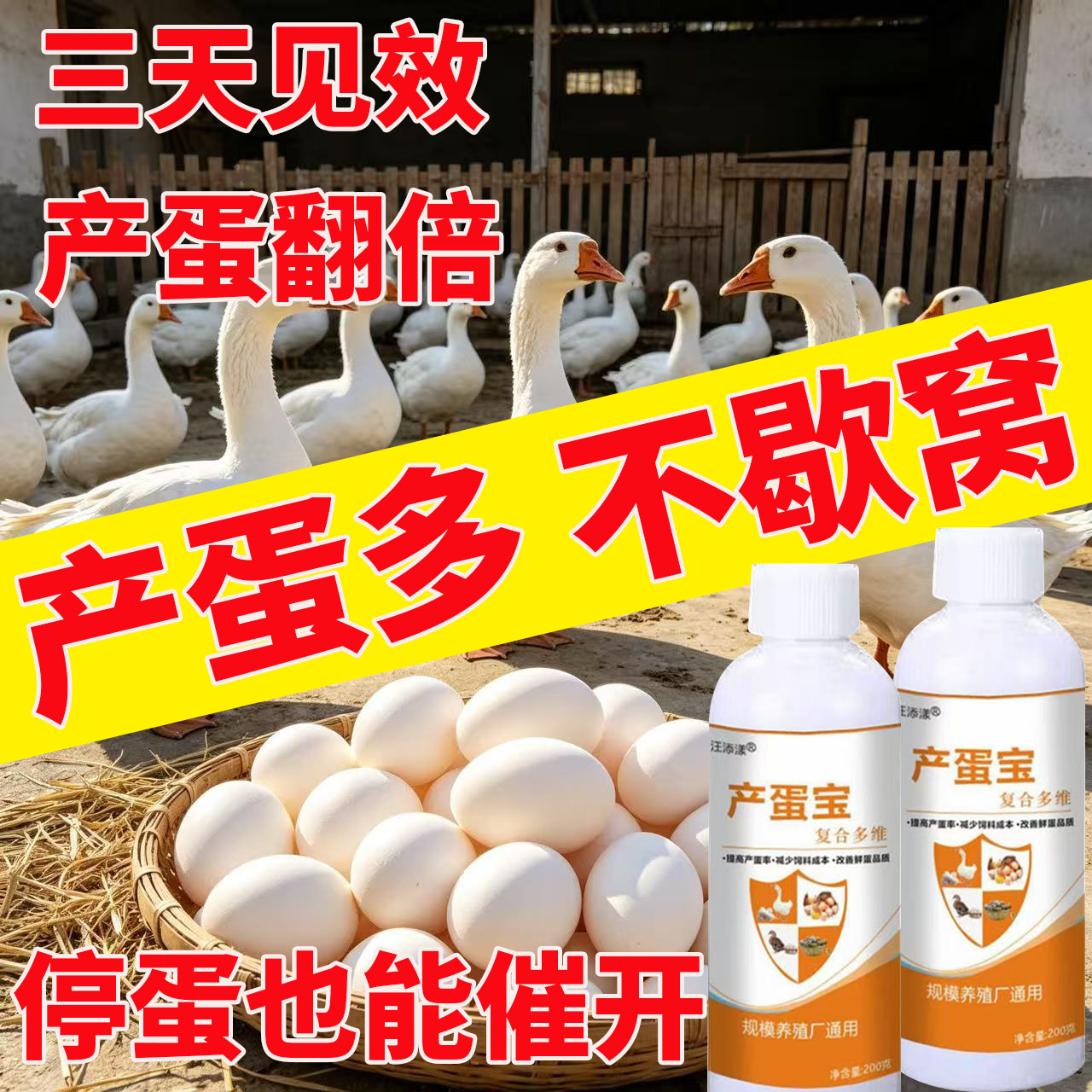 大鹅增蛋宝养殖专用产添加剂
