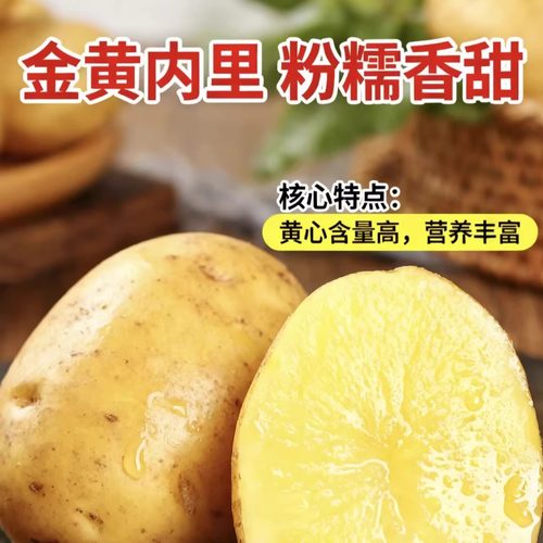 黑土地口感粉糯适合炖煮或蒸制