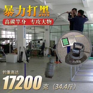 碳素XXH轻硬调碳素重雷强竿枪柄黑鱼杆远投水滴轮路亚鱼竿套装