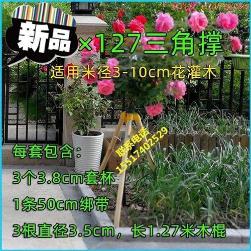 树木支撑架苗木固定器树木扶树杆街道园林木F材T栽树拉紧带生长,农用物资,苗木固定器/支撑器,淘宝优惠券,粉丝福利购,淘宝优惠卷