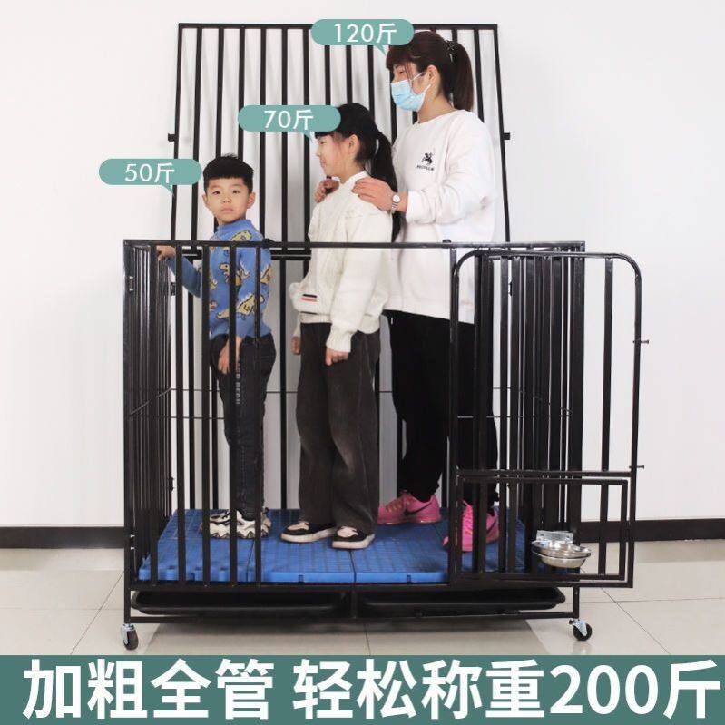 折叠狗笼子大型犬特大号金毛拉布拉多阿拉斯加中小型犬Y带厕所泰