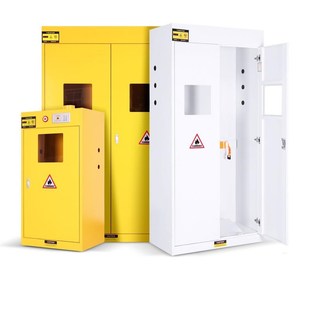 全钢防爆双瓶气瓶柜安全柜储存柜危化品防火柜液化气乙炔储存柜子