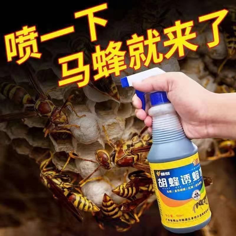 捉金环红娘引黑尾黄脚蜂r胡蜂诱蜂水诱蜂招蜂马蜂诱蜂水马蜂服野