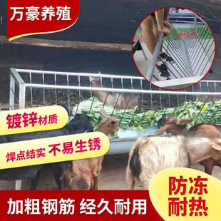 羊槽子喂羊食槽新款优质彩钢w板底槽双面喂食羊槽料槽结实耐用养
