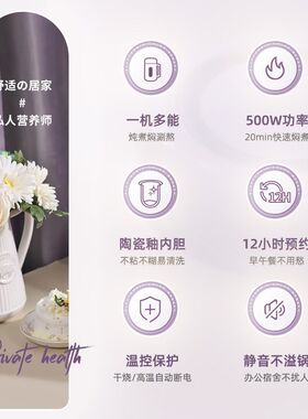 智能电炖锅便携煲汤煮粥保温桶 家用预约辅N食电炖盅办公室电炖杯