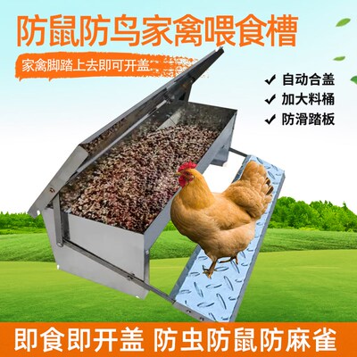 喂鸡食槽鸡用踏板喂食器鸡鸭鹅用饲料槽家禽养殖自动X喂食器防老