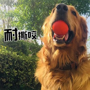 宠物玩具耐咬实心橡胶球磨牙洁齿训练狗狗训练球幼犬金毛大狗用品