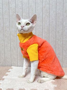 秋冬季加厚保暖无毛猫q衣服德文斯芬克斯宠物纯棉衣服加绒兔毛高