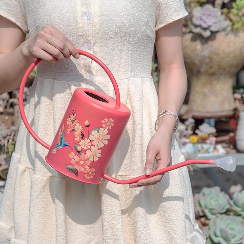 植物浇花水壶不锈钢喷壶长嘴洒水壶家G用园艺浇花壶浇水神器淋花