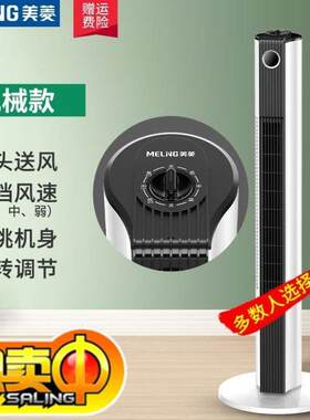 电风扇无叶塔扇立式遥控静音定时大风力轻音卧室落地家用机械宿舍