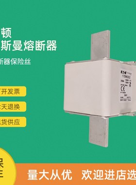 全新快速熔断器保险170M6925 170M6926 170M6927 170M6928