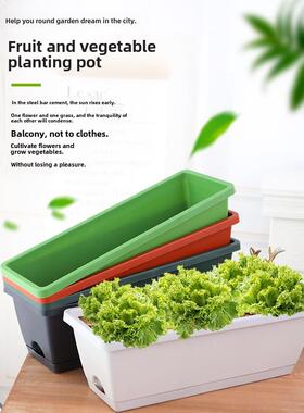 Vegetable pots flower Plant rectangular large planting box