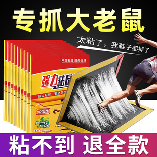 超强劲粘鼠板捉抓粘大老鼠贴沾胶夹笼捕鼠灭鼠克星家用一窝端