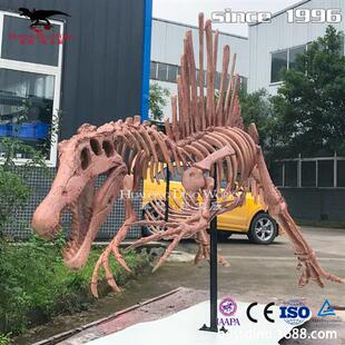 年大型仿真玻璃钢恐龙化石骨架仿真恐龙模型电影道具美陈