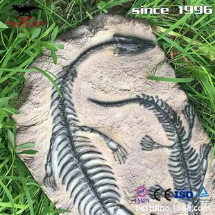 博物馆收藏的恐龙化石骨架高度仿真细节微妙工厂制作匠心出品