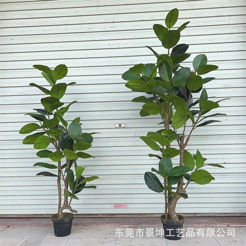 仿真橡皮榕室内客厅落地盆栽服装店橱窗绿色假植物琴叶榕仿真橡树