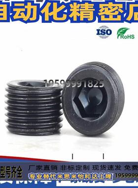 锥形沉头螺塞/喉塞螺丝l/闷头螺丝 MSWT-J/1/2/3/4/5/6/8 MSWTK