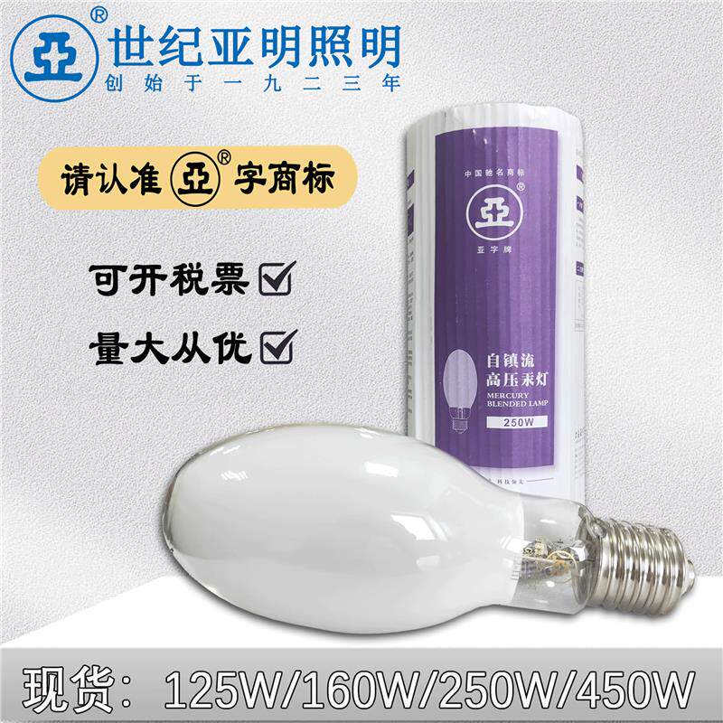 上海亚明1923自镇流高压汞灯250W450W自汞灯水银灯泡荧光灯诱虫灯 - 实物图
