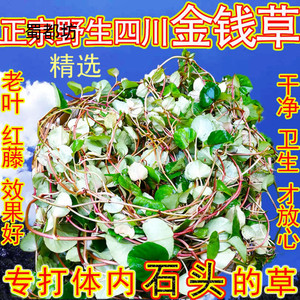 化结石化石草肝病碎石化石排石