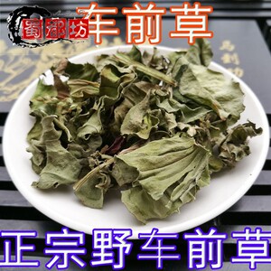 中药材中药茶将糖排石