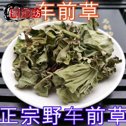 野车前草中药材产地车前草 车轮草猪殃殃车轱辘草蛤蟆草500克