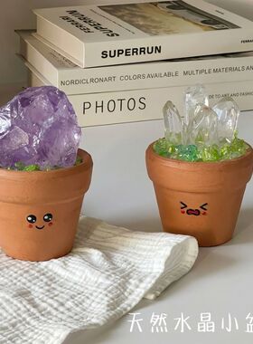 天然水晶原矿标小豆丁盆栽可爱书桌工位摆件紫黄水晶招财陪伴礼物