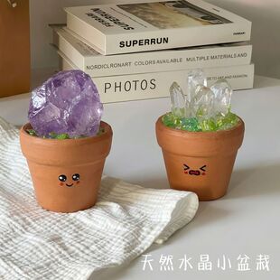 天然水晶原矿标小豆丁盆栽可爱书桌工位摆件紫黄水晶招财陪伴礼物