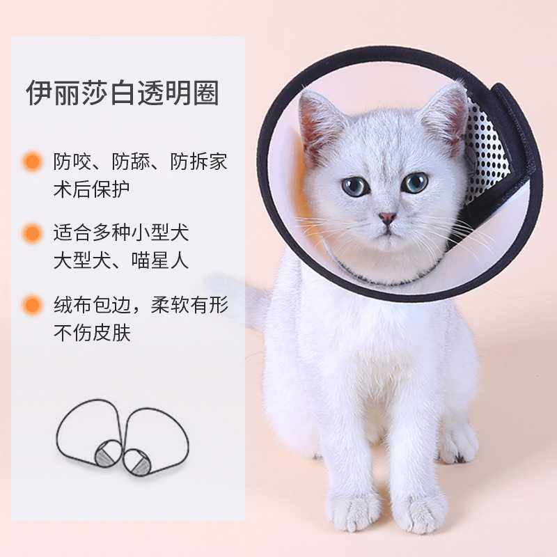 新款直销跨境宠物用品 伊丽莎白圈 狗狗项圈防水猫头套 软宠物脖,宠物/宠物食品及用品,宠物伊丽莎白圈,淘宝优惠券,粉丝福利购,淘宝优惠卷