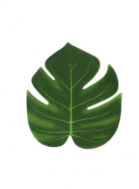 新款直销夏威夷主题装饰 仿真龟背60pcs套装30片中叶30朵木槿花