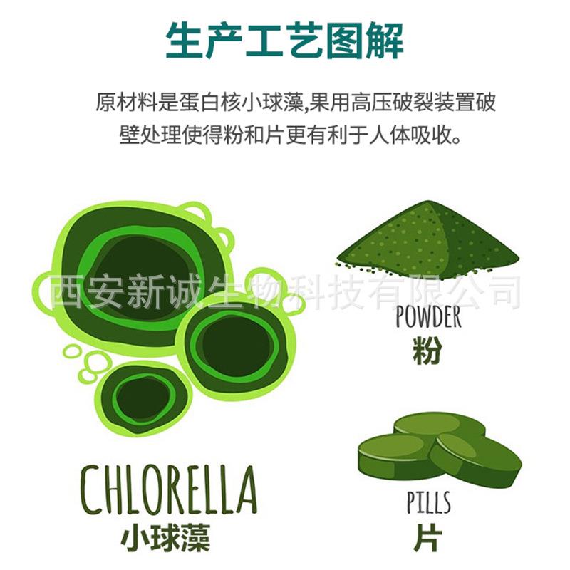 新款直销小球藻片 蛋白核小球藻片 绿藻片1斤起 饲养鱼可用 工厂