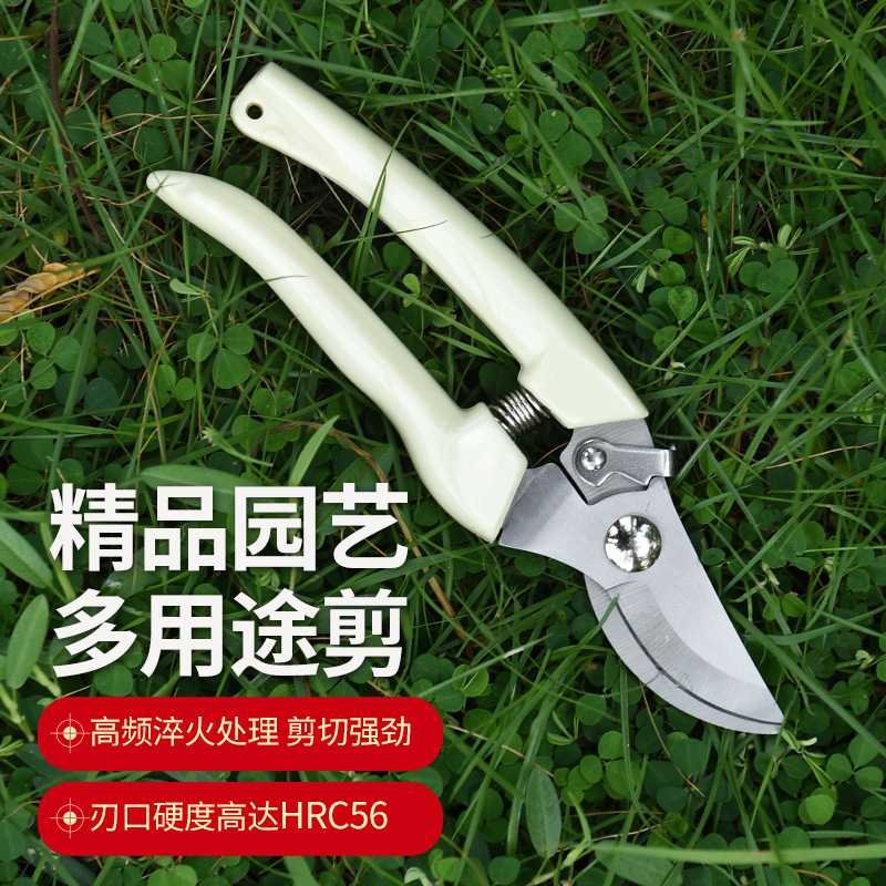新款直销修枝剪刀树枝剪果树剪花枝摘果剪园艺稀果剪刀采摘葡萄剪
