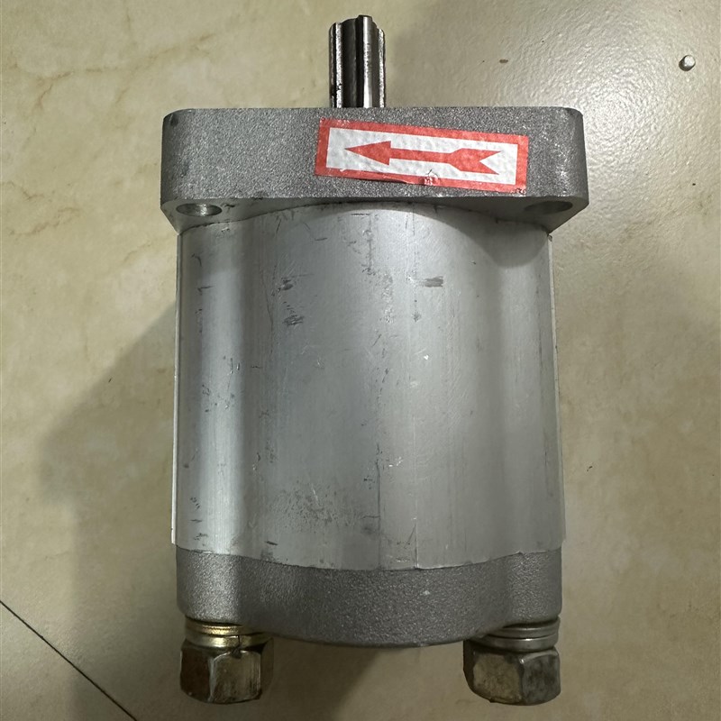 隆达液压CBN-E316 304 306 310 314 320 32W5液压齿轮油泵