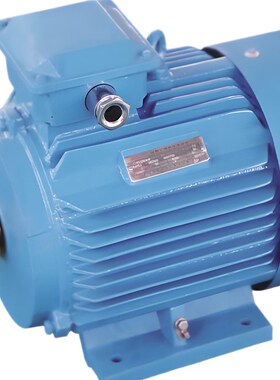 江苏YFB3系列三级能效粉尘防爆低压三相O异步电动机660V50