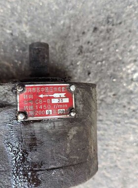 泰兴市苏中液压nCBB2B10B6齿轮泵油泵