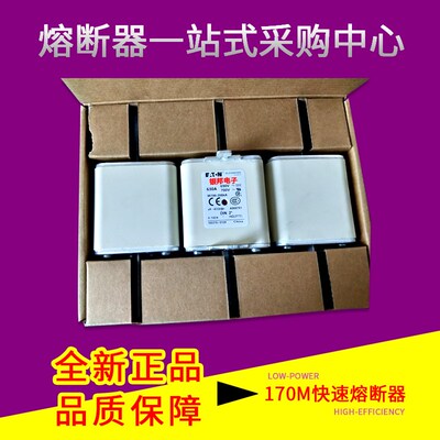 170M3623 170M3673 170M3723 1D70M3773  美国Bussmann快速熔断器